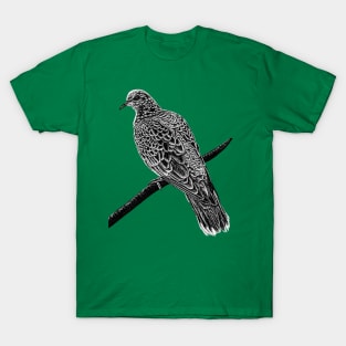 European turtle dove T-Shirt